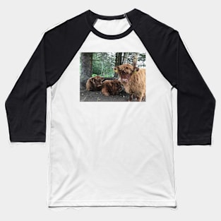 Scottish Highland Cattle Calves 1519 Baseball T-Shirt